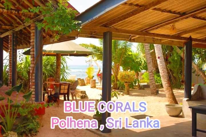 Blue Corals Beach Bungalow Матара Екстер'єр фото
