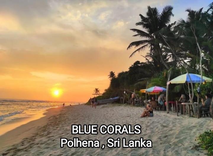 Blue Corals Beach Bungalow Матара Екстер'єр фото