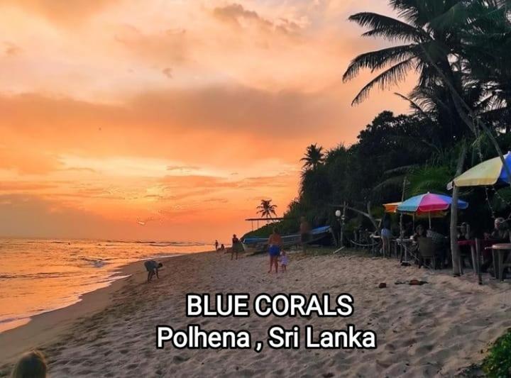 Blue Corals Beach Bungalow Матара Екстер'єр фото