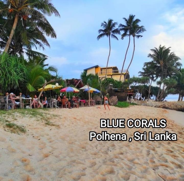 Blue Corals Beach Bungalow Матара Екстер'єр фото