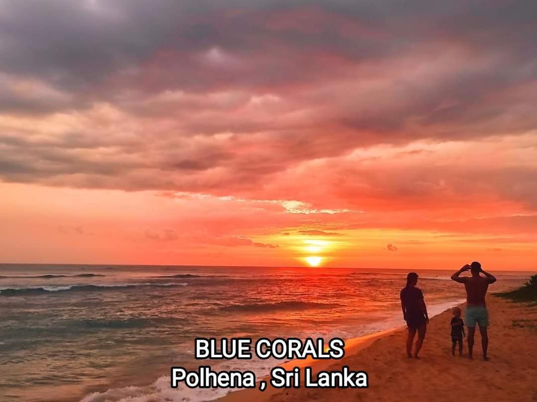 Blue Corals Beach Bungalow Матара Екстер'єр фото