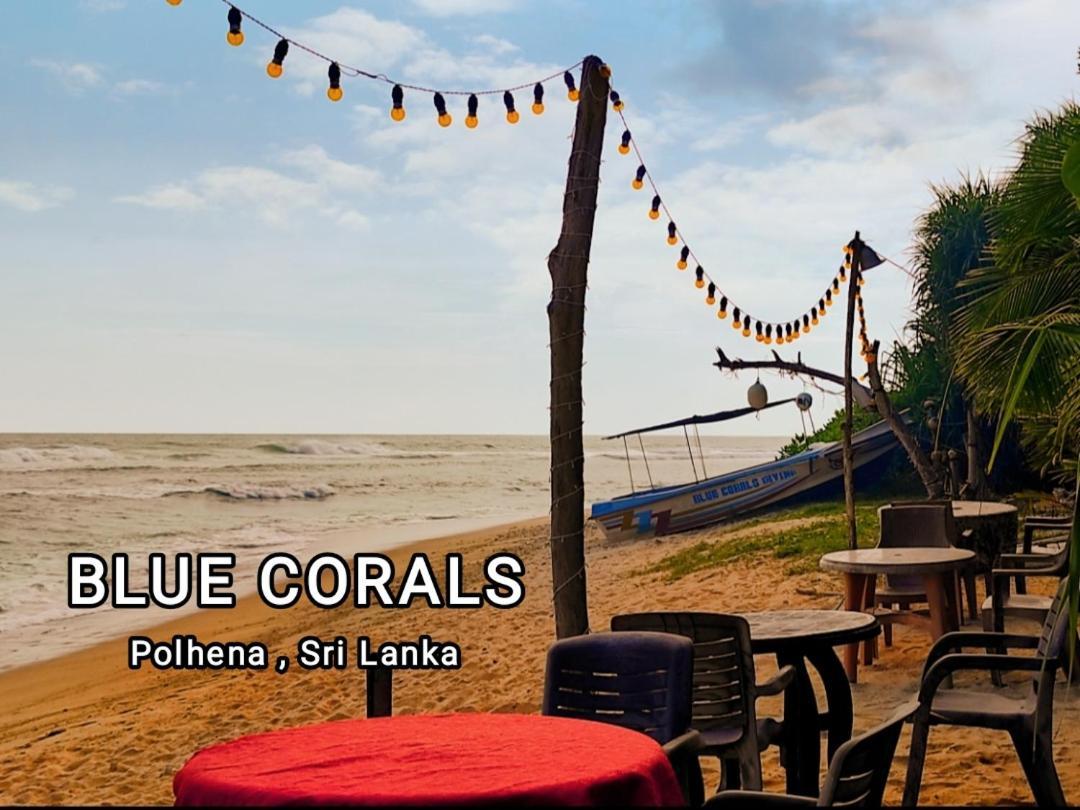 Blue Corals Beach Bungalow Матара Екстер'єр фото