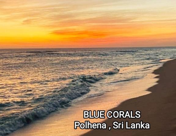 Blue Corals Beach Bungalow Матара Екстер'єр фото