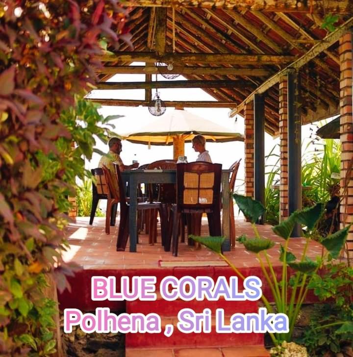 Blue Corals Beach Bungalow Матара Екстер'єр фото