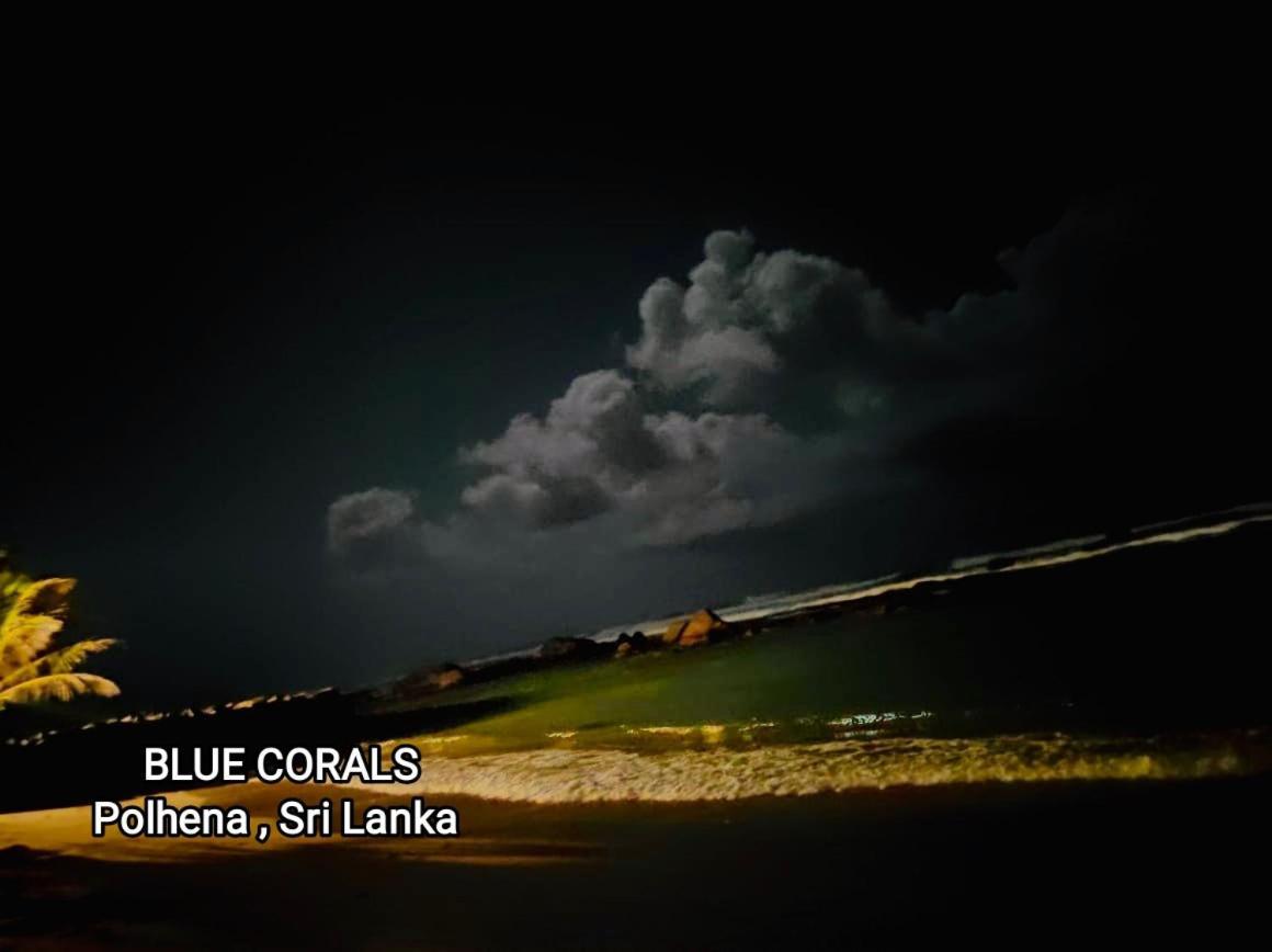 Blue Corals Beach Bungalow Матара Екстер'єр фото