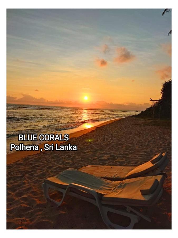 Blue Corals Beach Bungalow Матара Екстер'єр фото
