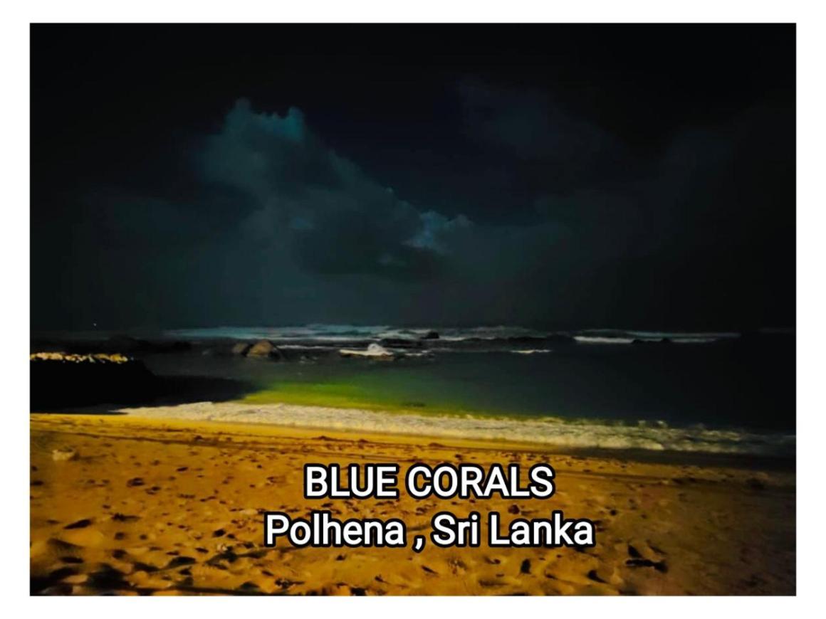 Blue Corals Beach Bungalow Матара Екстер'єр фото