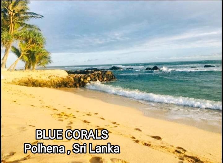Blue Corals Beach Bungalow Матара Екстер'єр фото