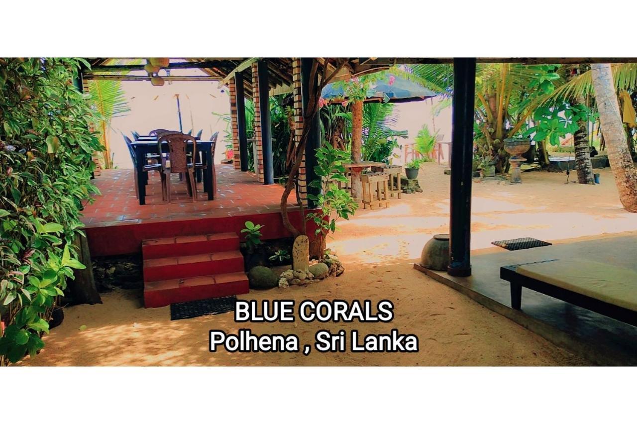 Blue Corals Beach Bungalow Матара Екстер'єр фото