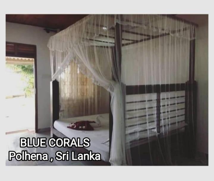 Blue Corals Beach Bungalow Матара Екстер'єр фото