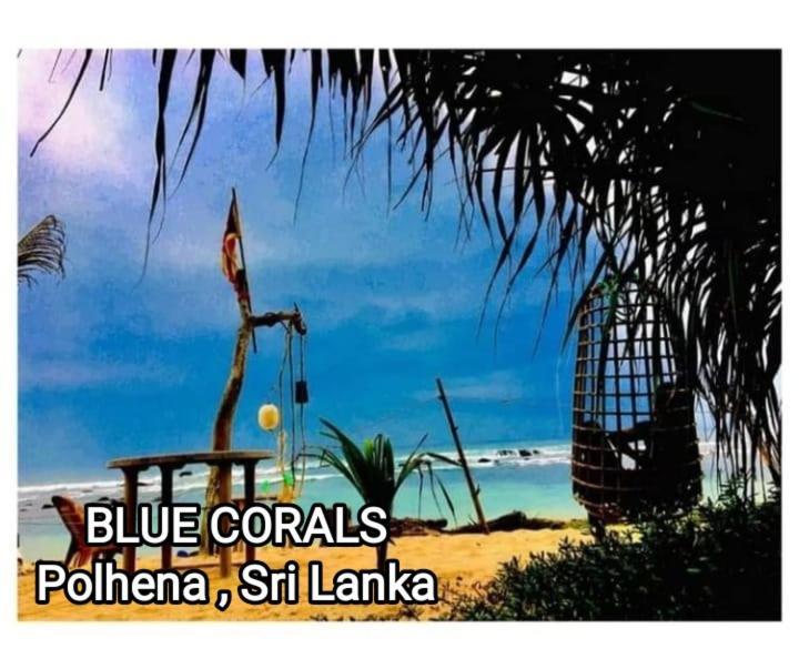 Blue Corals Beach Bungalow Матара Екстер'єр фото
